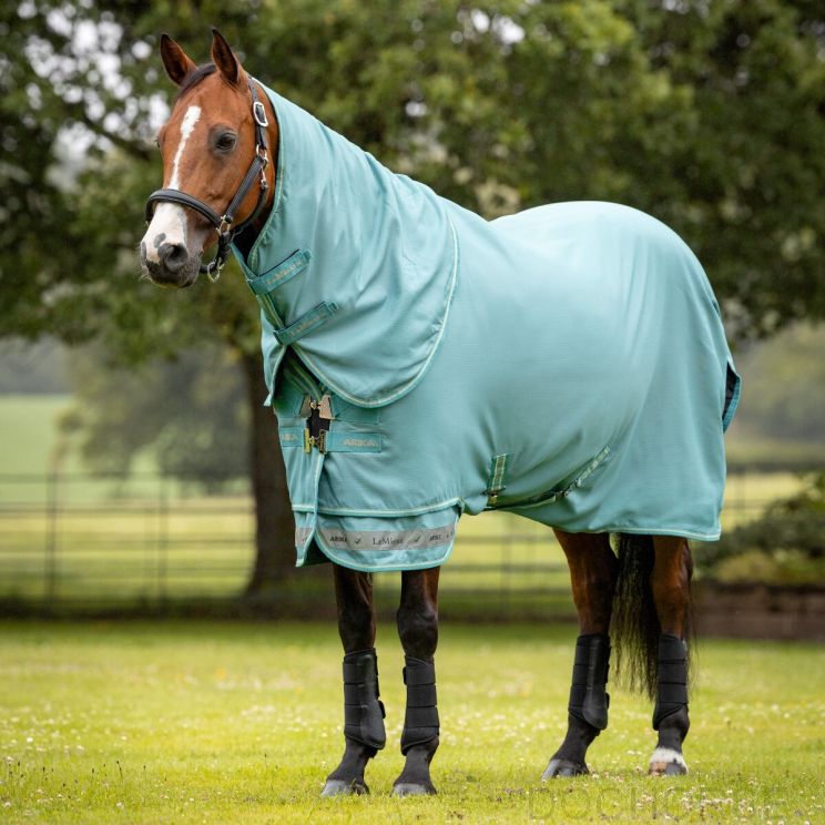 Lemieux Arika 600D Turnout Rug Lagoon 50G