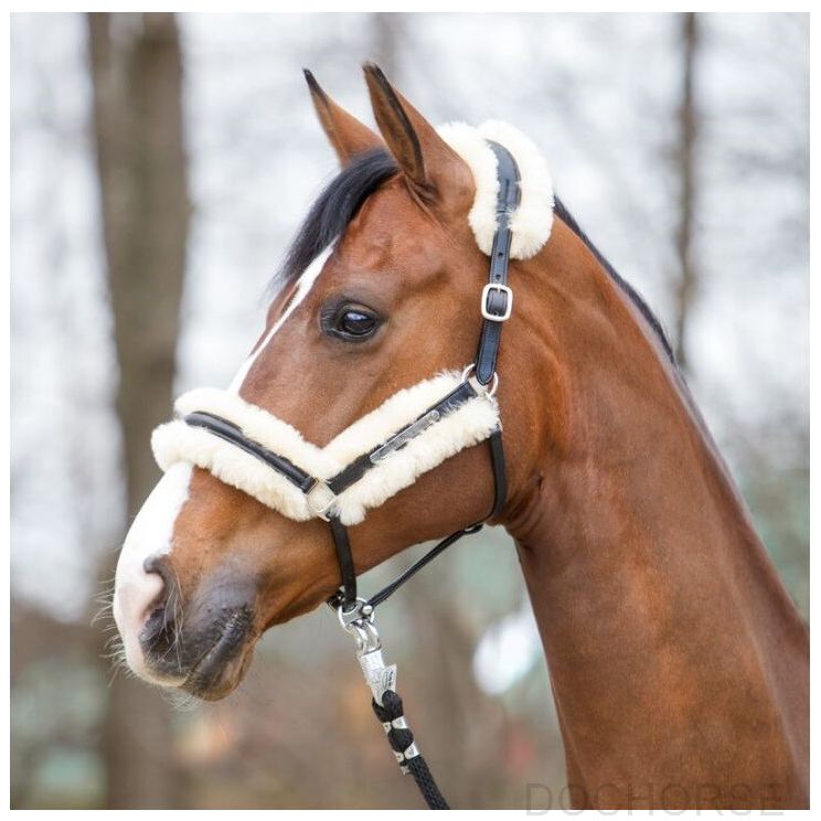 Kavalkade lerenHalster