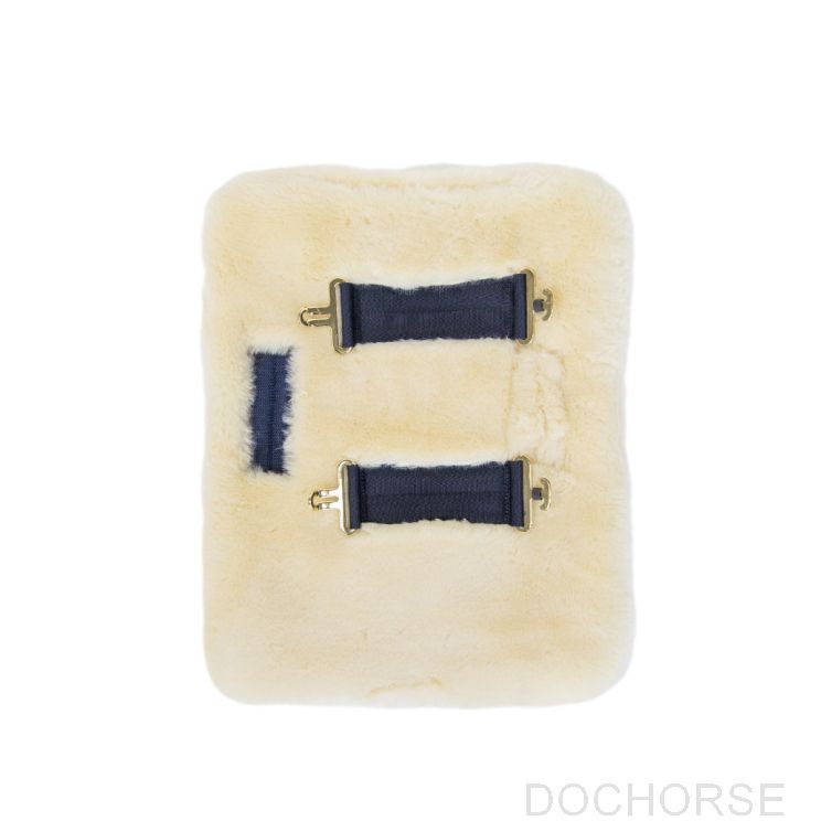 Kentucky vegn borstverbreder