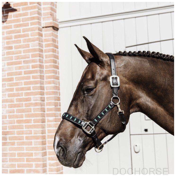 Kentucky halster Pearls
