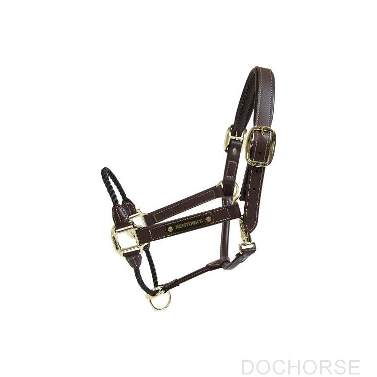 Kentucky touwhalster