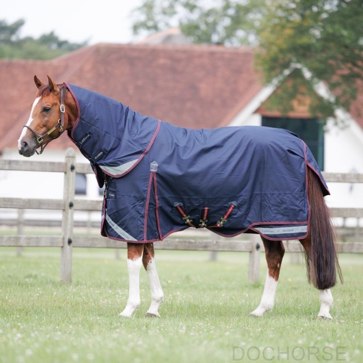 Lemieux Kudos 100 grams paardendeken