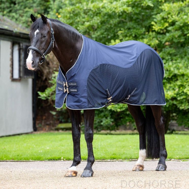 Lemieux Kudos Hybrid Cooler Navy