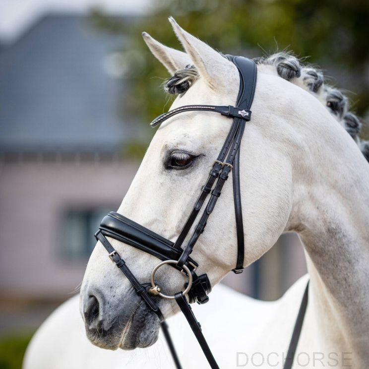 Lemieux Bridle Kudos Classic Dressage Black