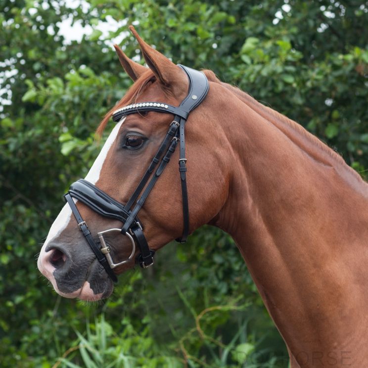 LJ Leathers Superior