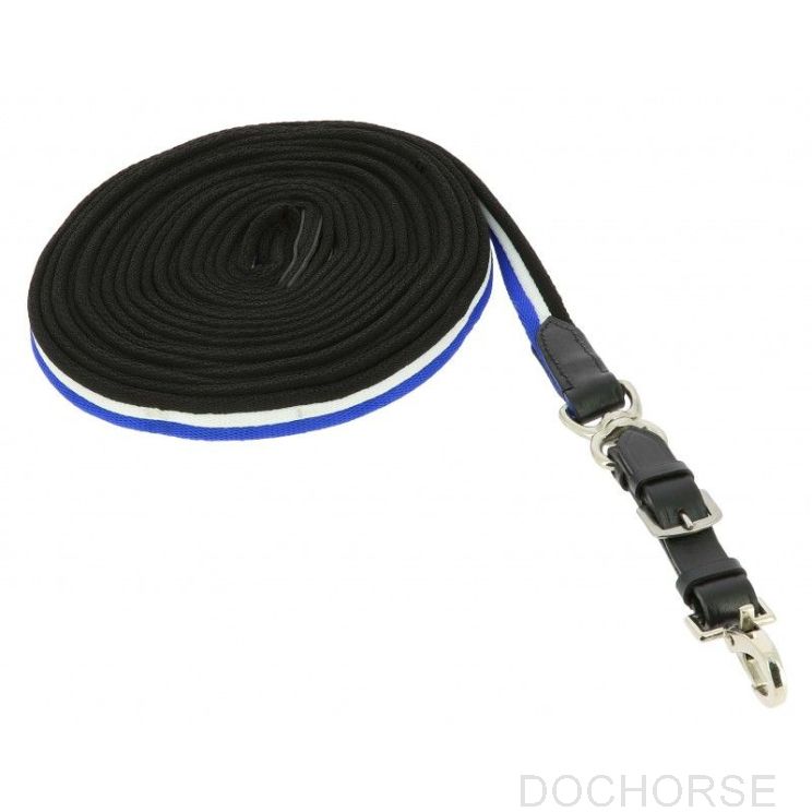 Norton Lunge Line Padded With Leather Black