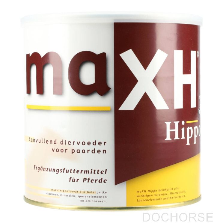 MaxH Hippo