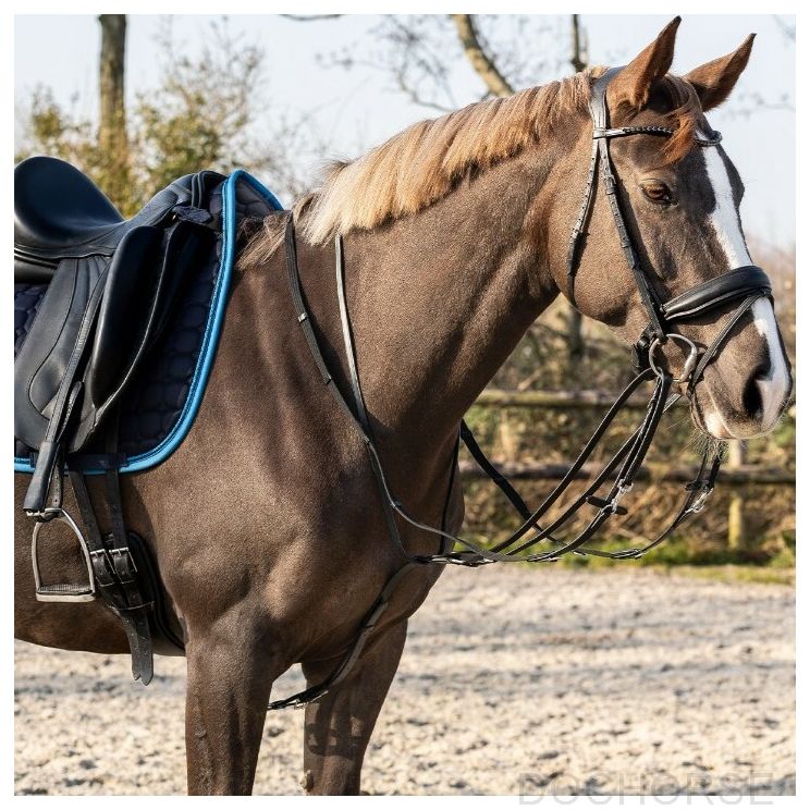 QHP Thiedeman Teugel Set Paard