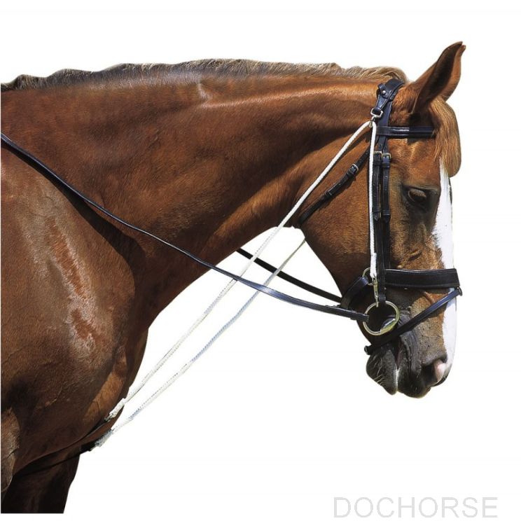 Norton Club Chambon Longeerhulp