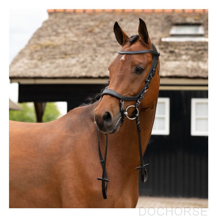 PresTeq Hoofdstel Faysport TESTER