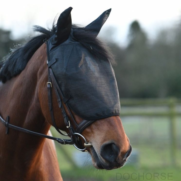 equilibrium vliegenmasker training