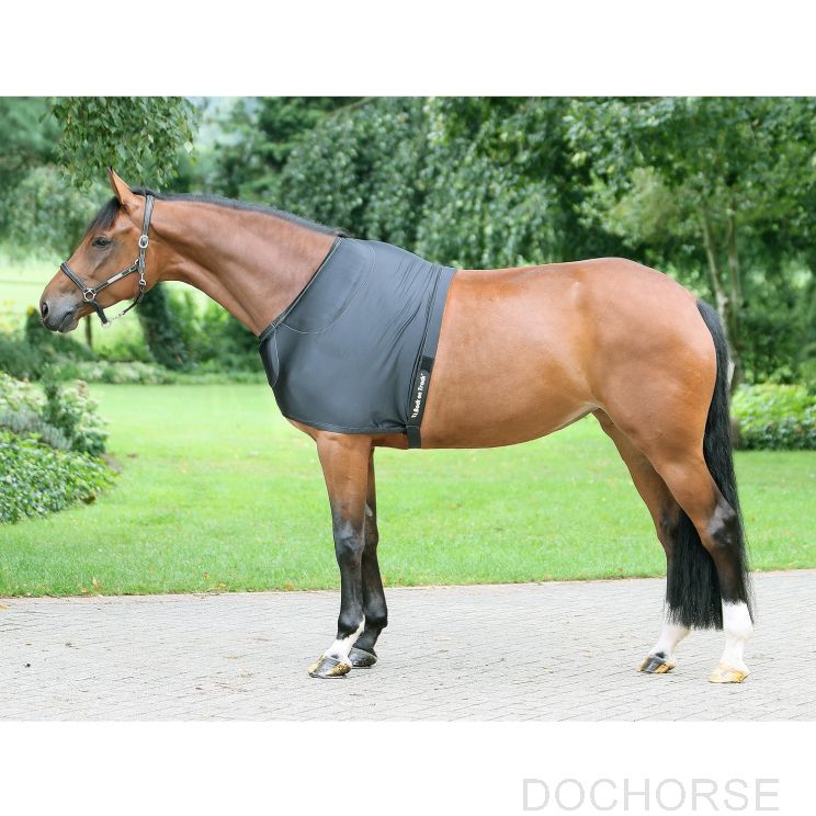 Back on Track Shouderbeschemer