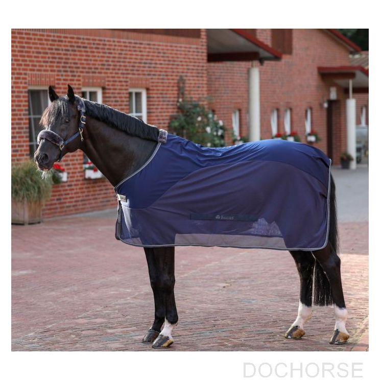 Bucas Show-Line Competition Cooler 