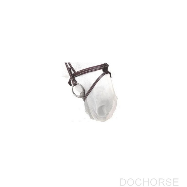 Silver crown flash noseband
