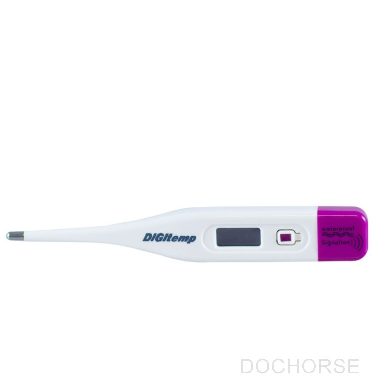 Digitale Thermometer