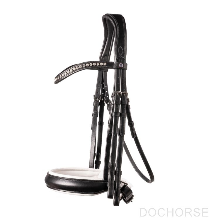 Trust Stang en Trens Hoofdstel Wellington