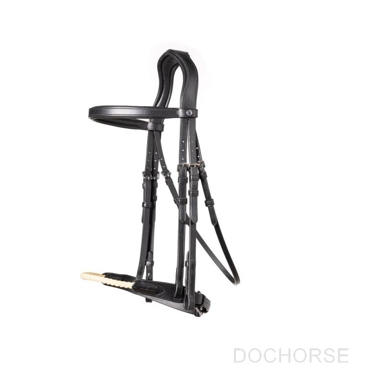 TRUST Hoofdstel St. Gallen Zwart-Zilver