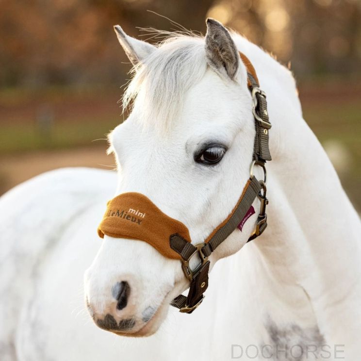 Lemieux Vogue Halster & Touw Super Mini Alpine