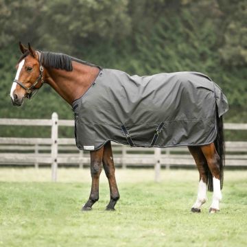 Dominick Regendeken 600D Cosy