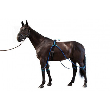 Equine legcooler 