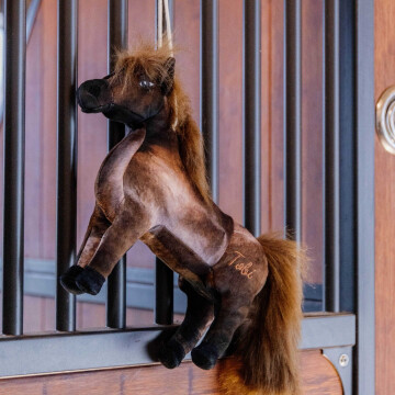 KENTUCKY PAARDENSPEELTJE TABLEUX