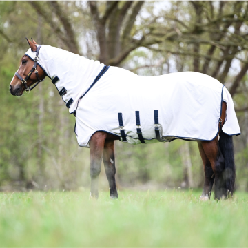 Dominick Eczeemdeken Elastic