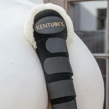 Kentucky Staartbeschermer Bont