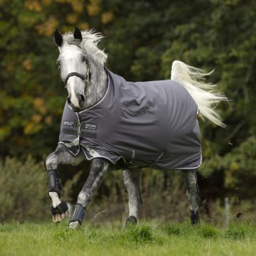 Amigo Bravo 12 Medium  Grey