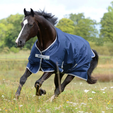 Bucas Freedom Hazelnut