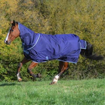 Atlantic Exclusive 150 & Neck