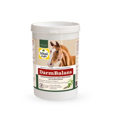 Vitalstyle Darmbalans