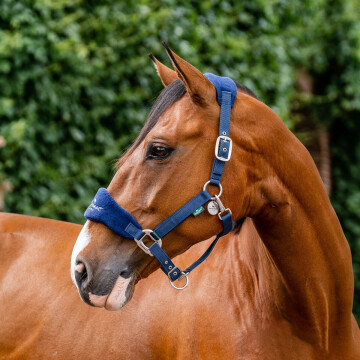 Horseware Signature Grooming Halster