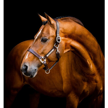 Horseware Signature Leer Halster Bruin