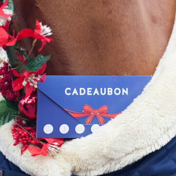 Dochorse cadeaubon 25.- Euro