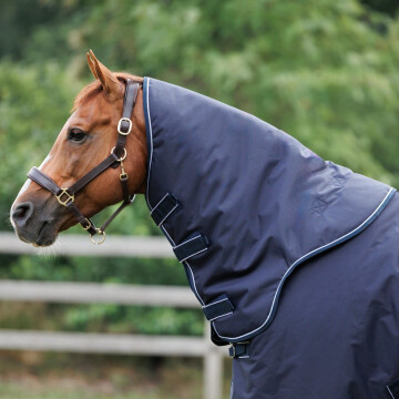 Dominick Halsdeel Paddock 0 g