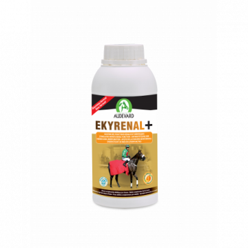 Audevard Ekyrenal +
