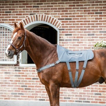 Equilibrium Massage Pad