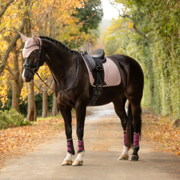 Lemieux Zadeldekje Springen Essence Eurojump Square Black