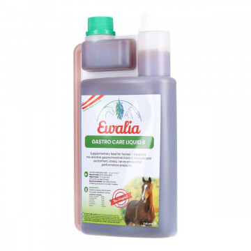 Ewalia Gastro Care II Vloeibaar 1000ML