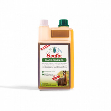Ewalia Black Cumin Olie 1000ML