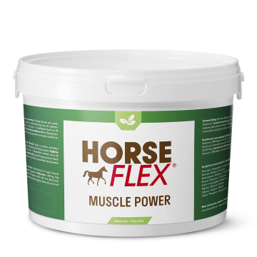 HorseFlex Muscle Power