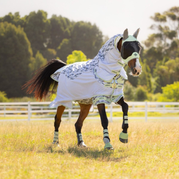 LeMieux Vliegendeken Arika Camo-Tek Macaron