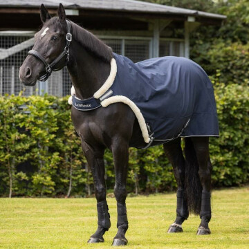 Lemieux Walker Rug Navy