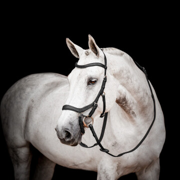 Horseware Micklem 2 Hoofdstel Competition