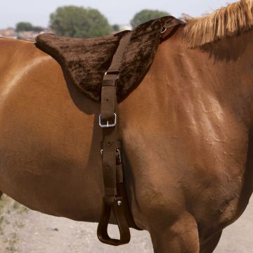 Norton Bareback Pad Comfort 