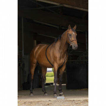 Norton Stretching Trainingshulpmiddel 