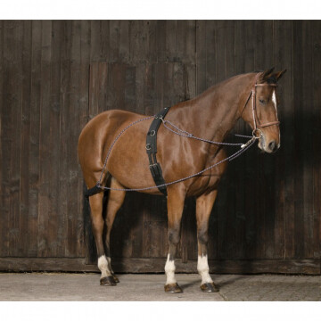 Norton Pessoa Longeerhulp