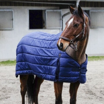 Equithème Under Rug Classic 100 G