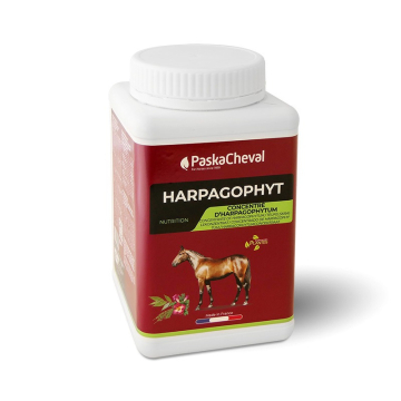 PaskaCheval Harpagophyt