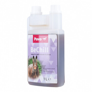pavo bechill